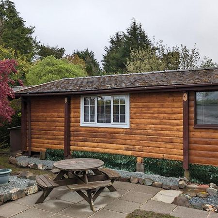 Snowdonia Log Cabin 2 Villa Trawsfynydd Екстериор снимка